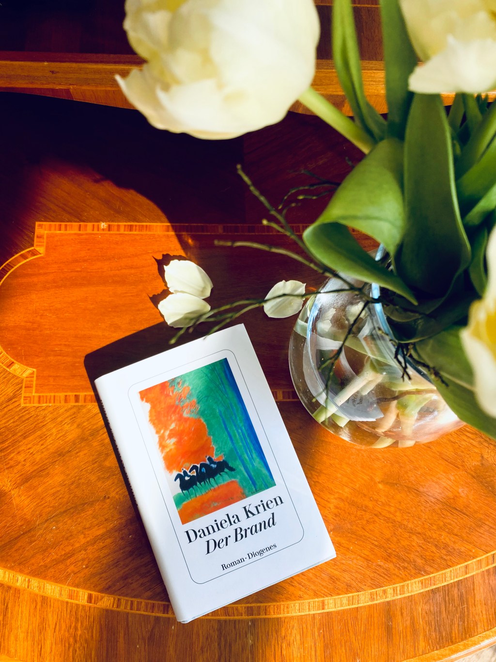 Daniela Krien: Der&nbsp;Brand