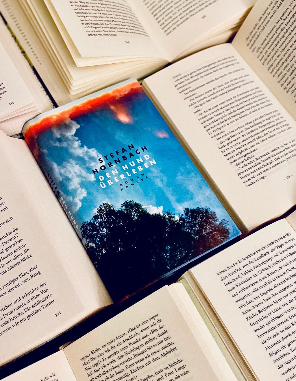 Stefan Hornbach: Den Hund&nbsp;überleben